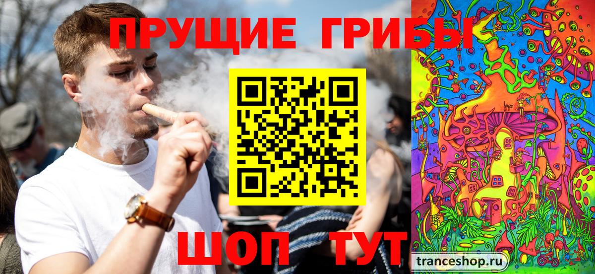 Псилоцибиновые грибы мухоморы  Вход с VPN  Каменка 